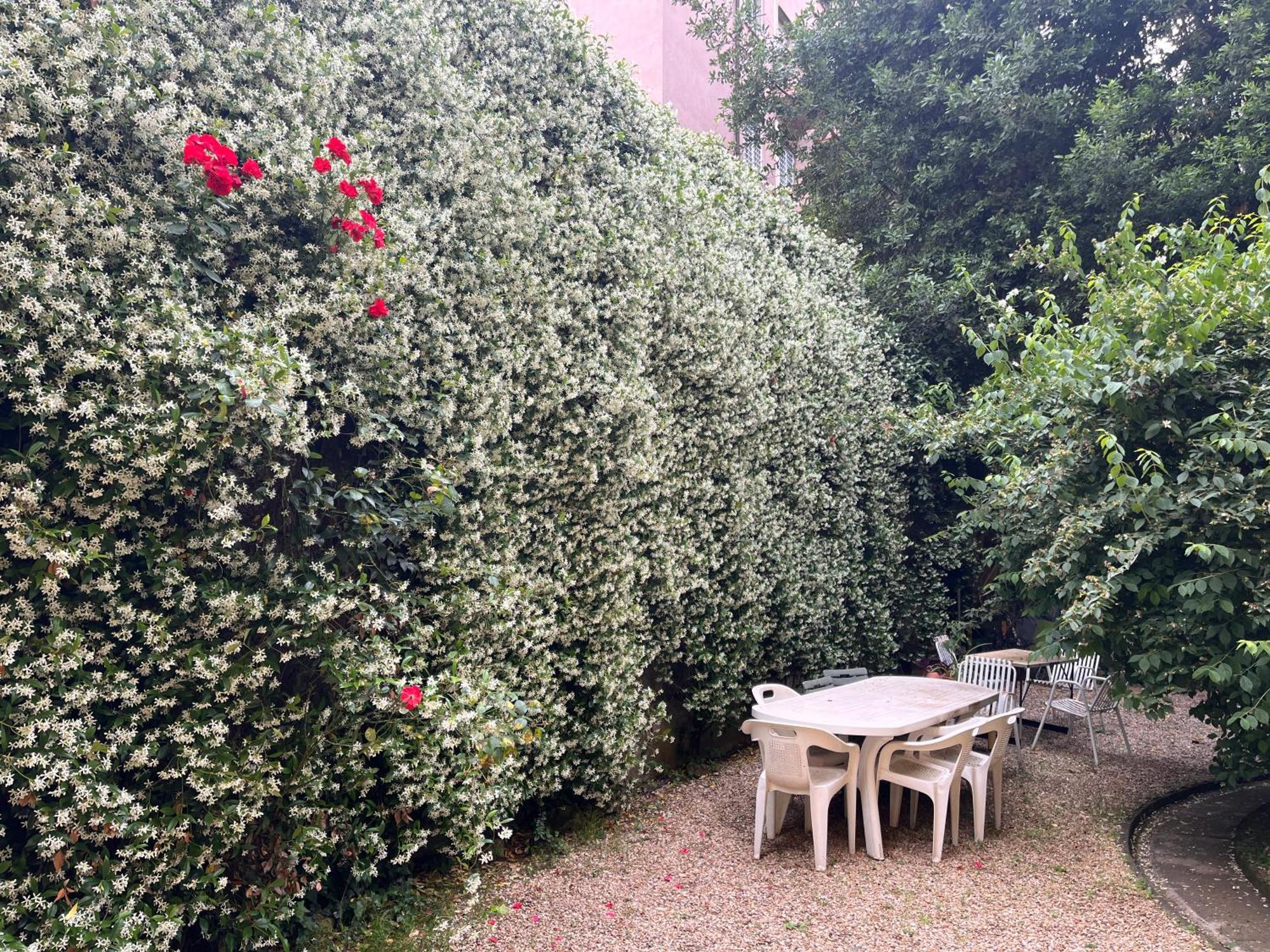 Barberina Apartment