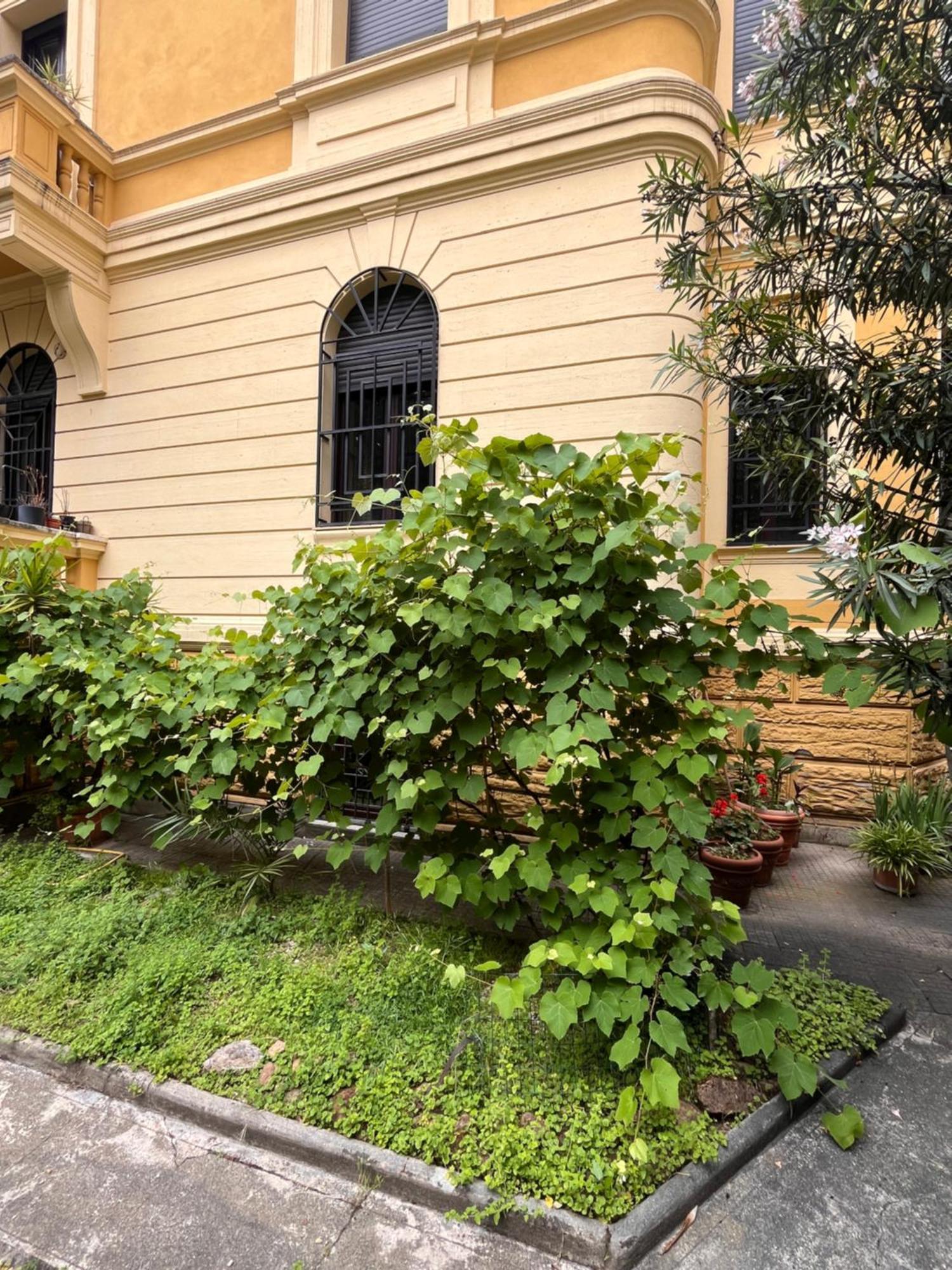 Apartment Barberina Rome